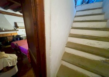 IMG_6892.jpg - Rustico Camaiore - foto 19