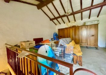 IMG_6893.jpg - Rustico Camaiore - foto 20