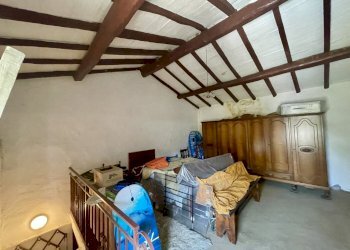 IMG_6894.jpg - Rustico Camaiore - foto 21