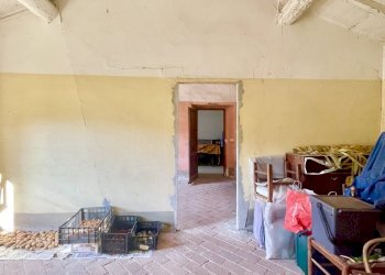 IMG_6902.jpg - Rustico Camaiore - foto 29