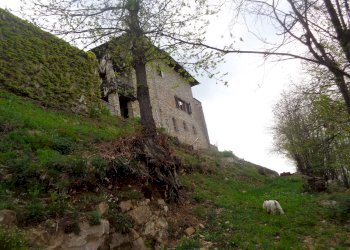 Villa Montaldo di Mondovì, Località San Bernardo, Montaldo di Mondovì - foto 4