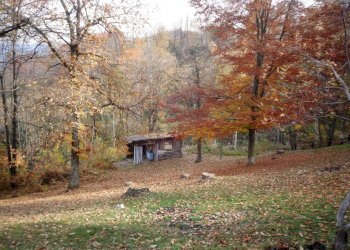 Villa Montaldo di Mondovì, Località San Bernardo, Montaldo di Mondovì - foto 13