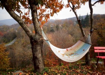 Villa Montaldo di Mondovì, Località San Bernardo, Montaldo di Mondovì - foto 14