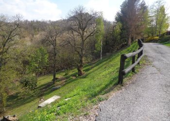 Villa Montaldo di Mondovì, Località San Bernardo, Montaldo di Mondovì - foto 17