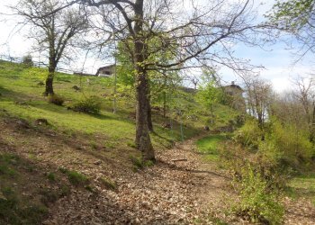 Villa Montaldo di Mondovì, Località San Bernardo, Montaldo di Mondovì - foto 18