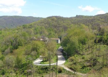 Villa Montaldo di Mondovì, Località San Bernardo, Montaldo di Mondovì - foto 20