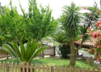 Villa Unifamiliare Vallecrosia - foto 9