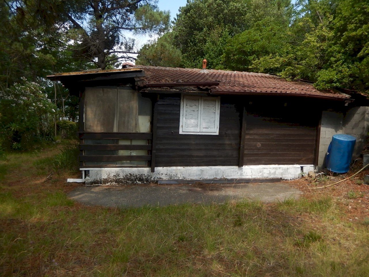 DSCN6736.JPG - Baita Località Persico 2, Deiva Marina - foto 1