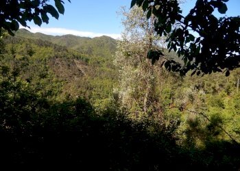 DSCN6252.JPG - Appartamento Via alla Chiesa, Castiglione Chiavarese - foto 9