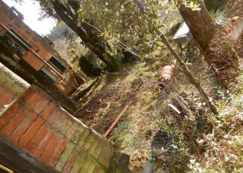 DSCN5765.JPG - Villa Via San Nicolao 6, Castiglione Chiavarese - foto 8