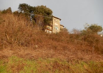 DSCN5779.JPG - Villa Via San Nicolao 6, Castiglione Chiavarese - foto 16