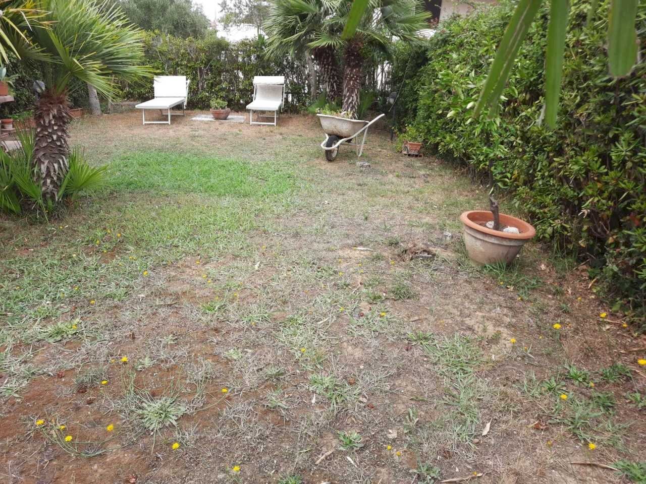 giardino.jpg - Villa via della prugnoliccia, Livorno - photo 3