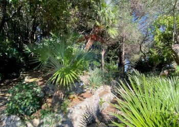 Villa Pugliola, Lerici, Lerici - foto 13