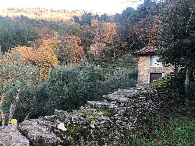 Rustic via di vorno, Capannori - photo 3