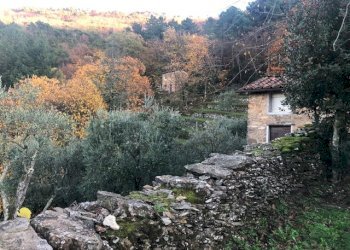 Rustic via di vorno, Capannori - photo 3