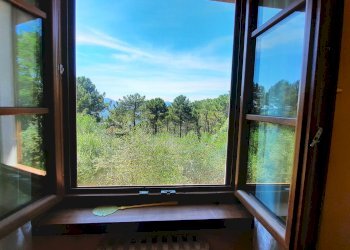 Rustic via di vorno, Capannori - photo 16