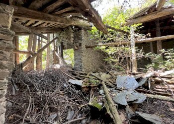 Rustico Borgata Bertines, Casteldelfino - foto 4