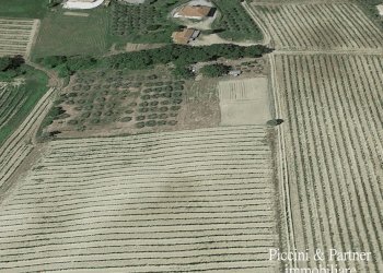 01.jpg - Terreno agricolo Via Ascianello, Montepulciano - foto 1