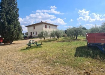 02.jpg - Terreno agricolo Via Ascianello, Montepulciano - foto 2