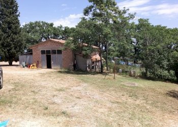 06.jpg - Terreno agricolo Via Ascianello, Montepulciano - foto 6