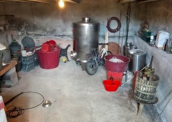 09.jpg - Terreno agricolo Via Ascianello, Montepulciano - foto 9