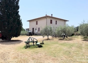 11.jpg - Terreno agricolo Via Ascianello, Montepulciano - foto 11
