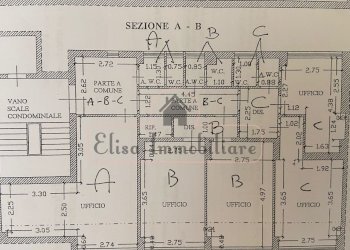 WhatsApp Image 2022-08-26 at 10.51.44.jpeg - Ufficio Viareggio - foto 1