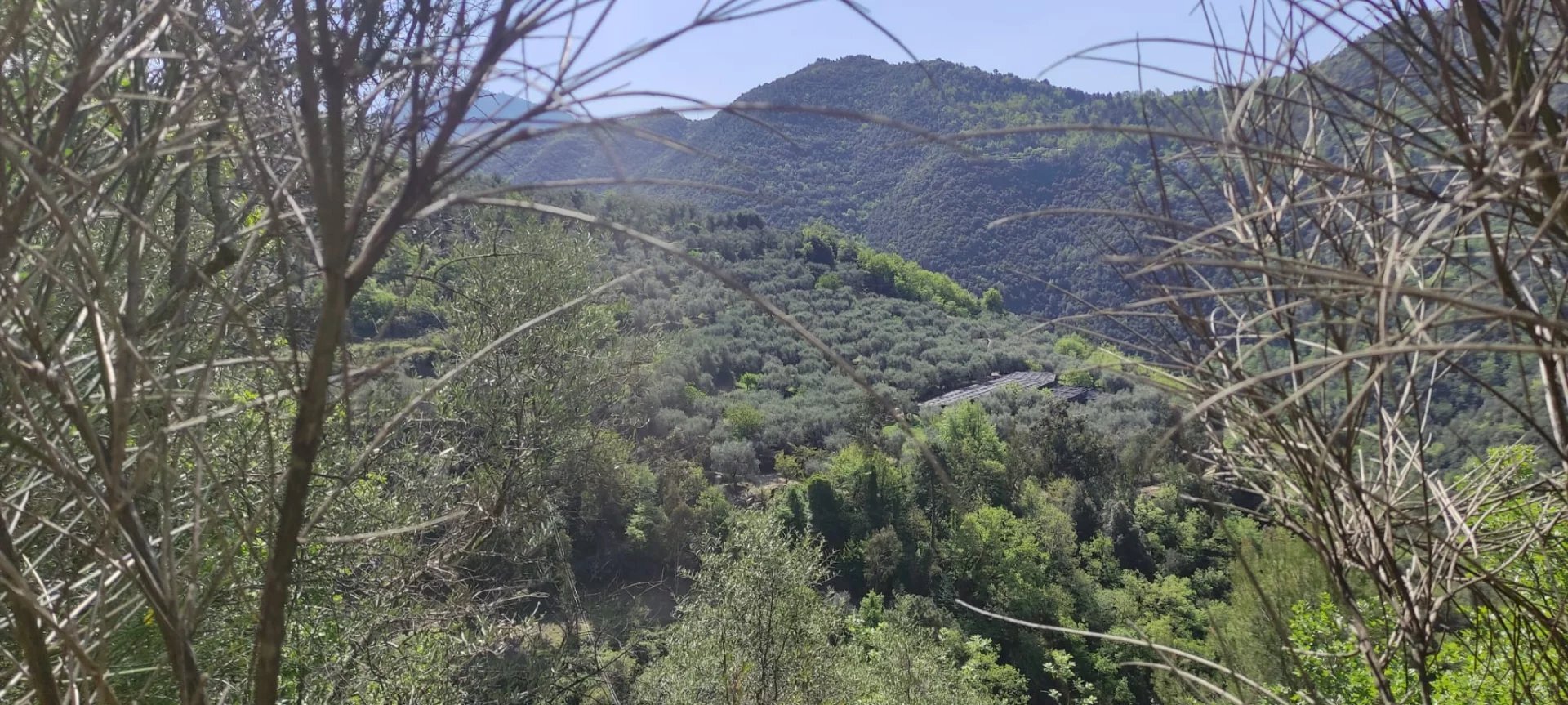 Casale Apricale - photo 2