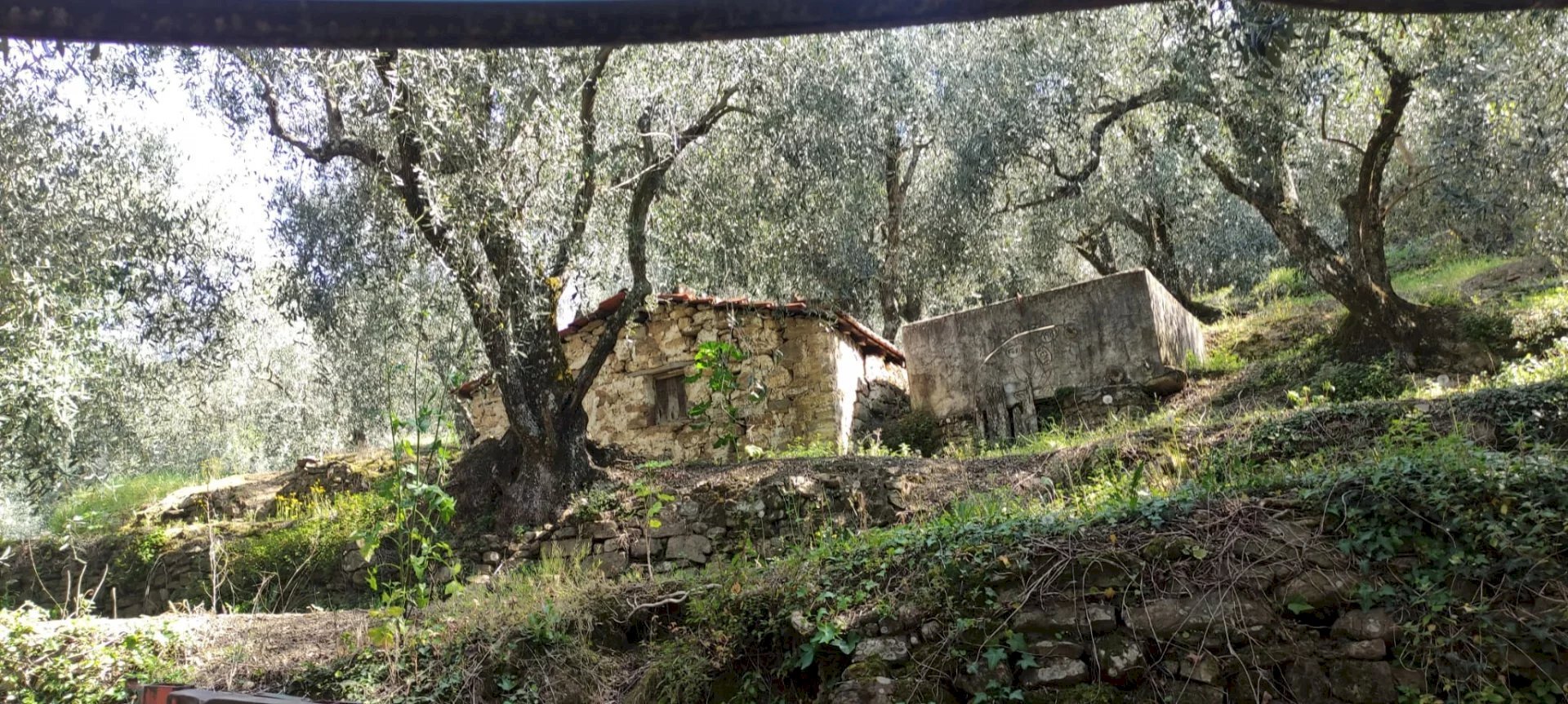 Casale Apricale - photo 2
