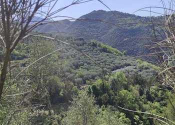 Casale Apricale - foto 2