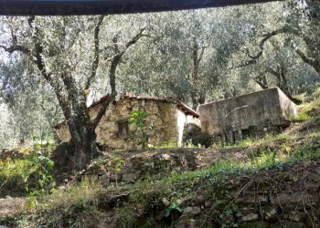 Casale Apricale - photo 2