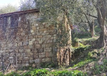 Casale Apricale - photo 6