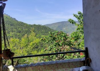 Casale Apricale - photo 9