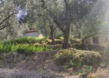 Casale Apricale - photo 11