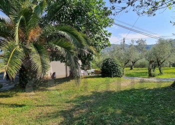 Casa indipendente Via Panaccio, Arpino - foto 22