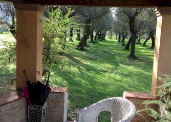 397333.jpg - Villa Seravezza - foto 1