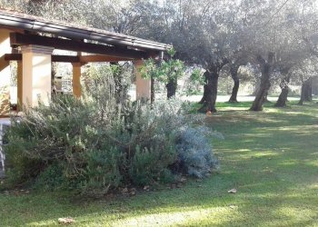 397327.jpg - Villa Seravezza - foto 14