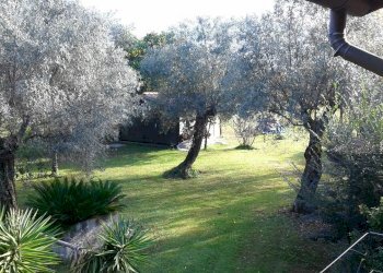 397318.jpg - Villa Seravezza - foto 15