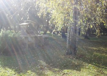 397315.jpg - Villa Seravezza - foto 16