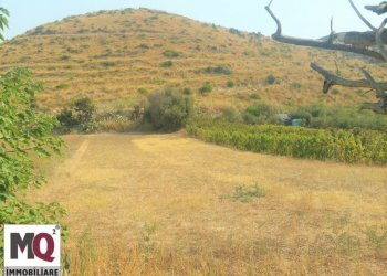 Terreno agricolo Mondragone - foto 1