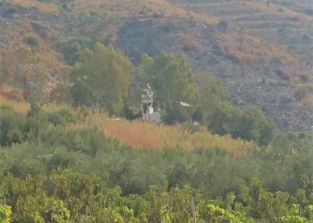 Terreno agricolo Mondragone - foto 4