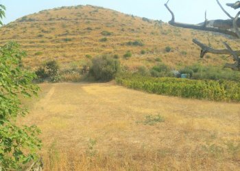 Terreno agricolo Mondragone - foto 5