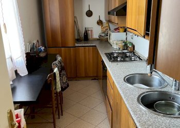 cucinotto - Terreno non edificabile Reggio nell'Emilia - foto 11