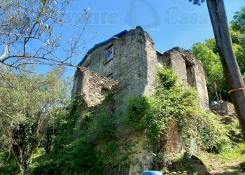 004 -- Rustico.jpg - Rustico Avegno - foto 4