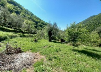 010 - Terreno.jpg - Rustico Avegno - foto 15