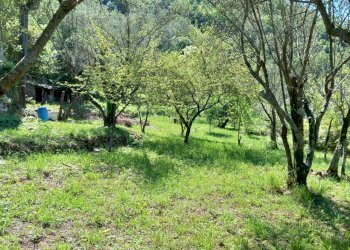 011 - Terrenno.jpg - Rustico Avegno - foto 16