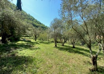 012 - Terreno.jpg - Rustico Avegno - foto 17