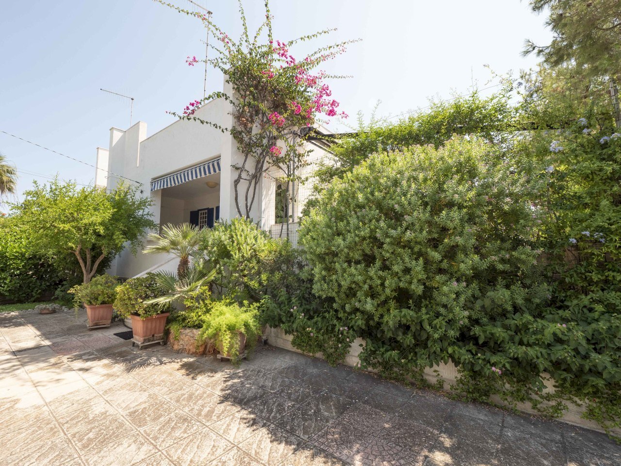 8.JPG - Villa Via del Procaccia 19, Ostuni - foto 2