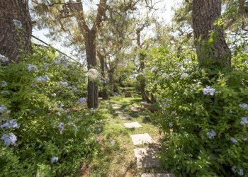 10.JPG - Villa Via del Procaccia 19, Ostuni - foto 12