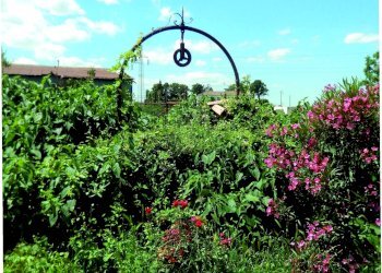 Rustico Ferrara (zona Chiesuol del Fosso) - foto 7